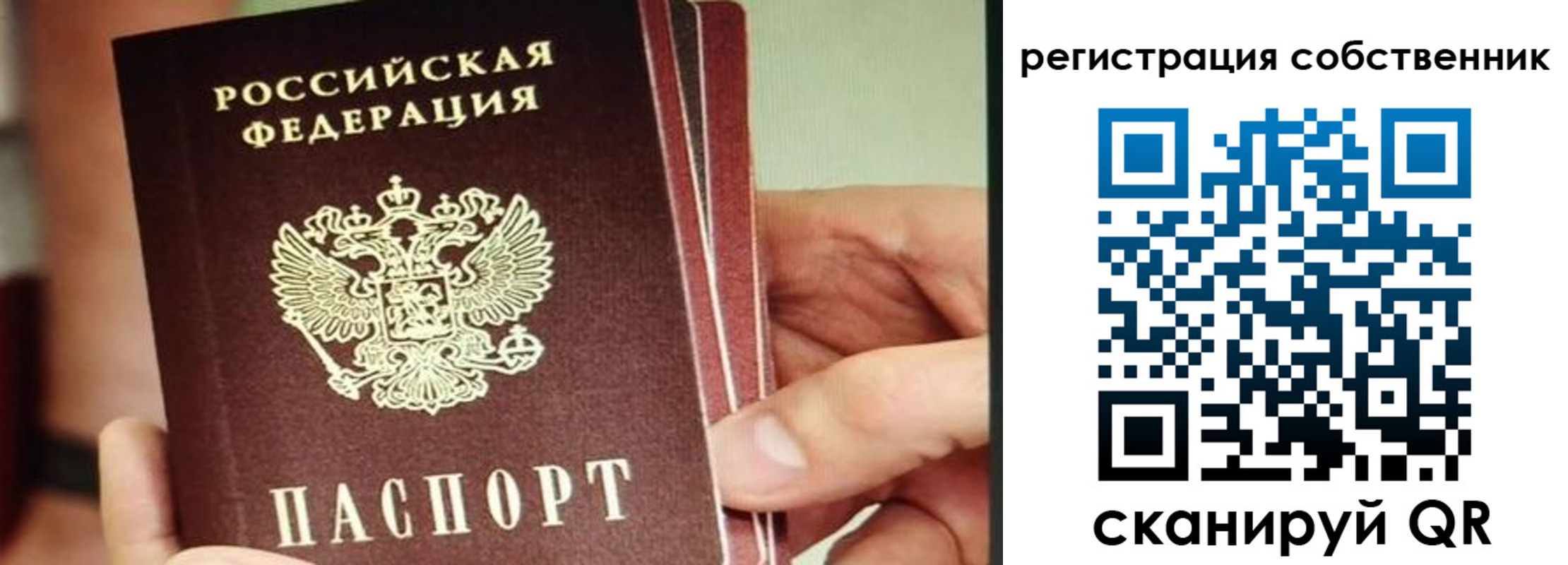 временная регистрация купить в Брянской области