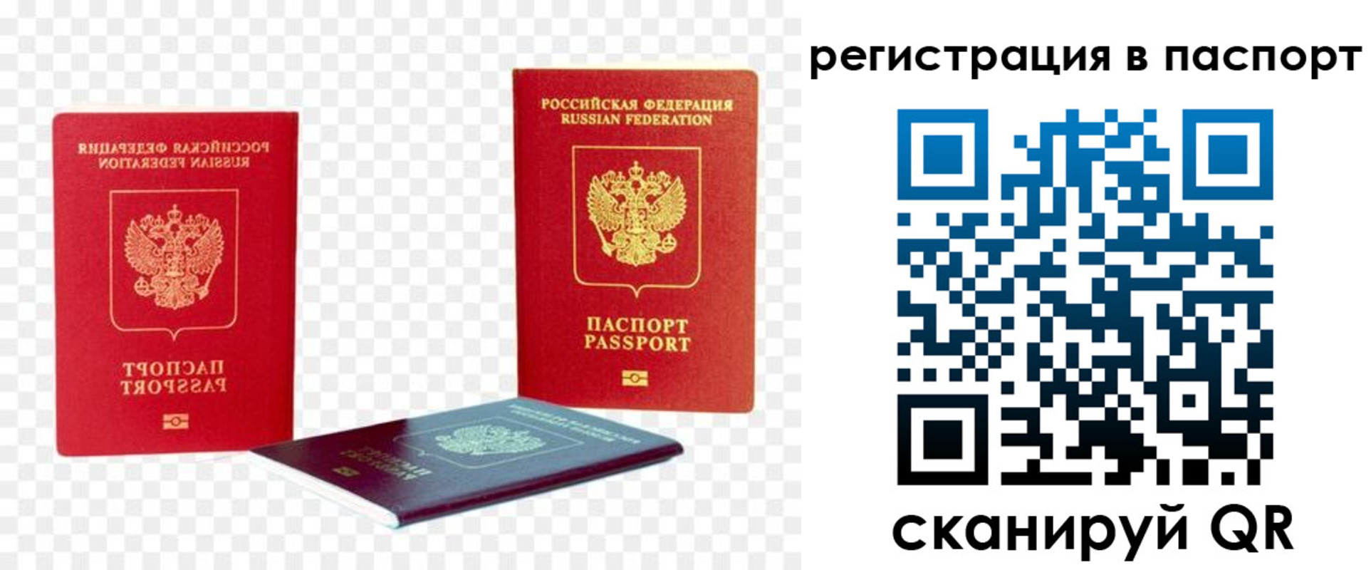 временная регистрация поиск в Брянской области
